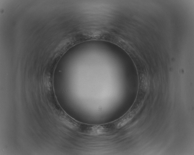 X0000074240612200608251140