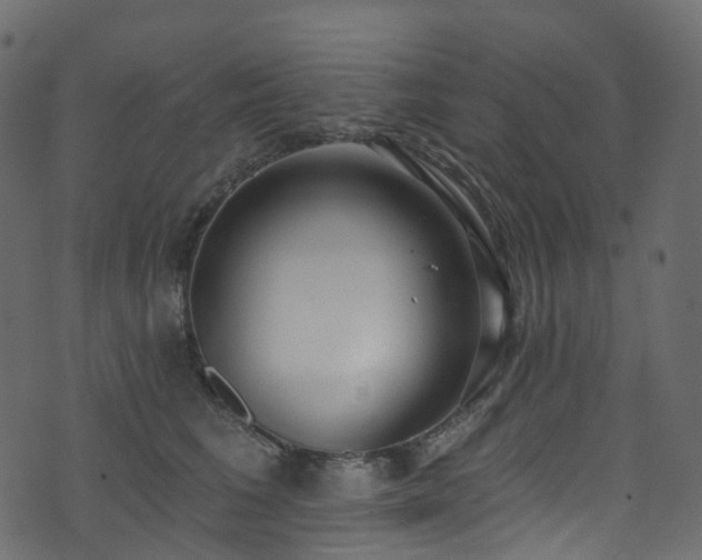 X0000074240613200608251140