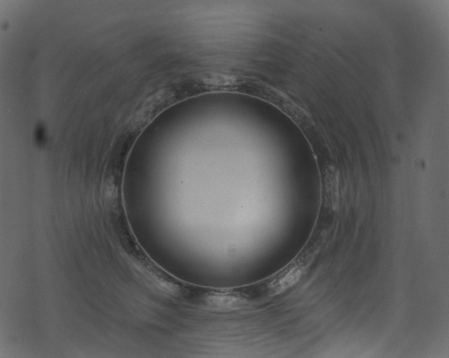 X0000074240614200608251140