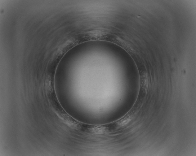 X0000074240615200608251140