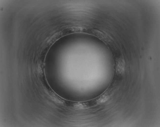 X0000074240616200608251140