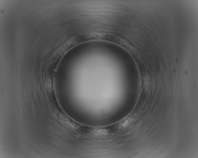 X0000074240617200608251140