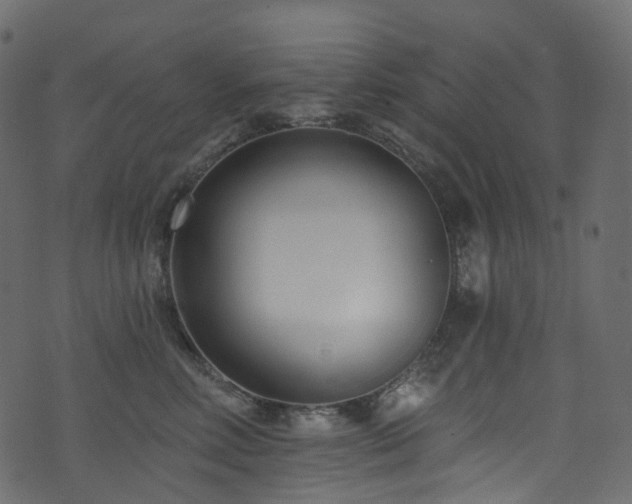 X0000074240618200608251140