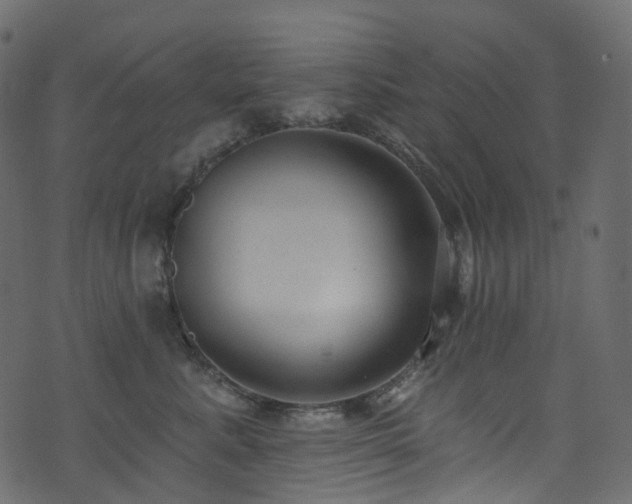 X0000074240619200608251140