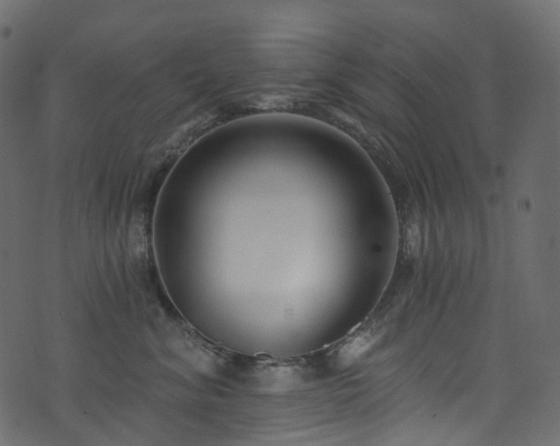 X0000074240620200608251140