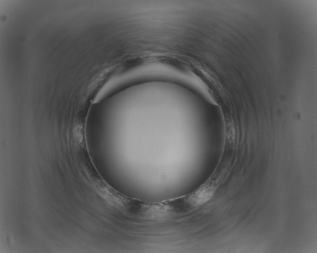 X0000074240621200608251140