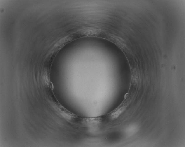 X0000074240622200608251140