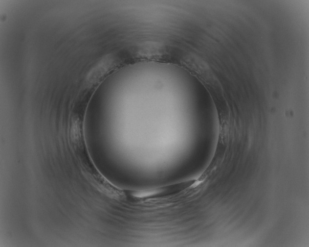 X0000074240623200608251140