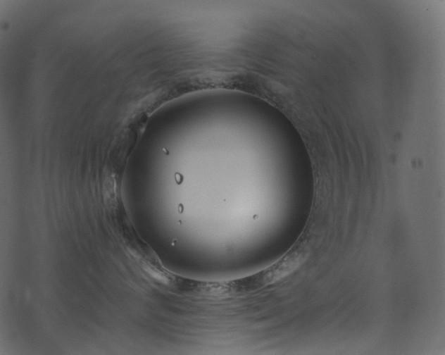 X0000074240624200608251140