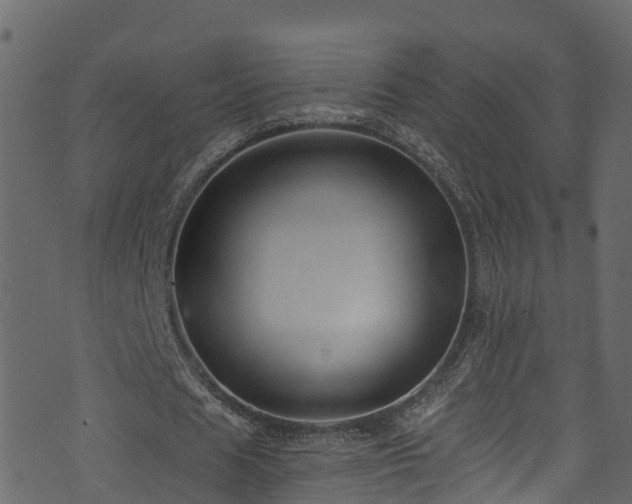 X0000074240625200608251139