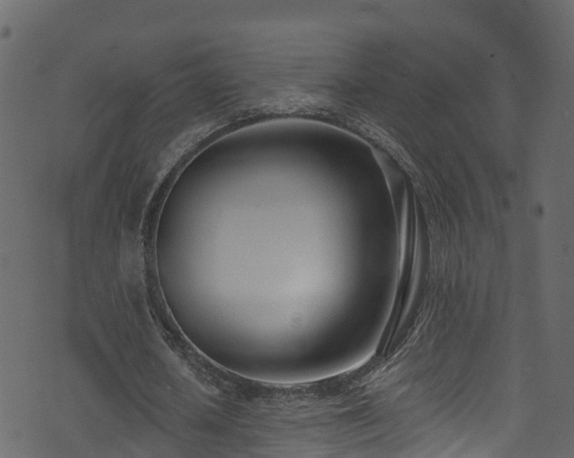 X0000074240626200608251139