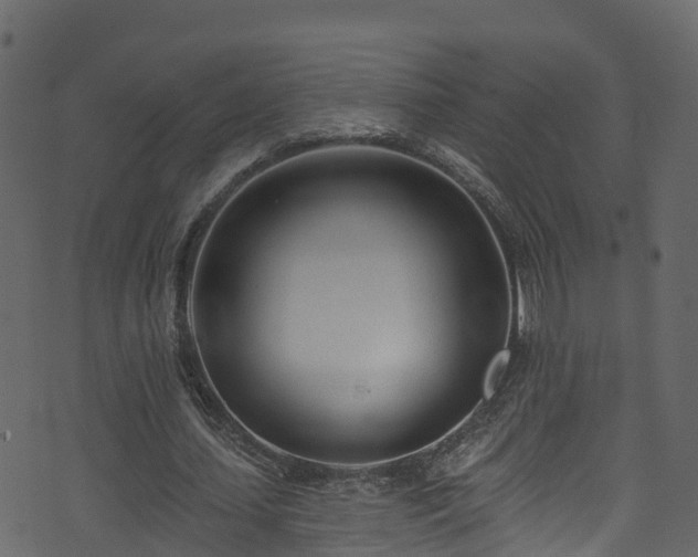 X0000074240627200608251139