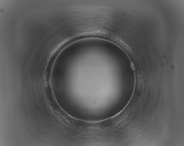 X0000074240628200608251139