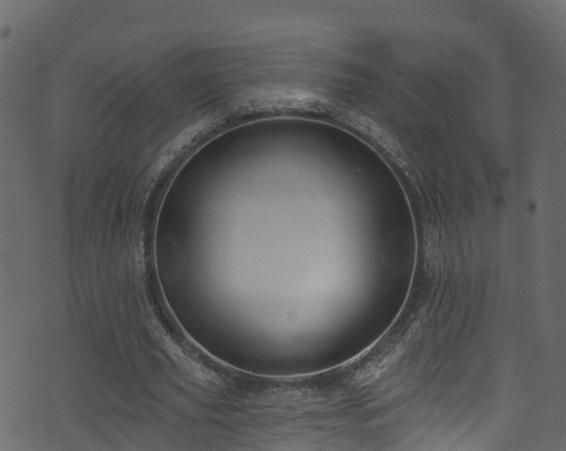 X0000074240629200608251139