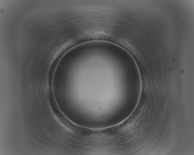 X0000074240630200608251139