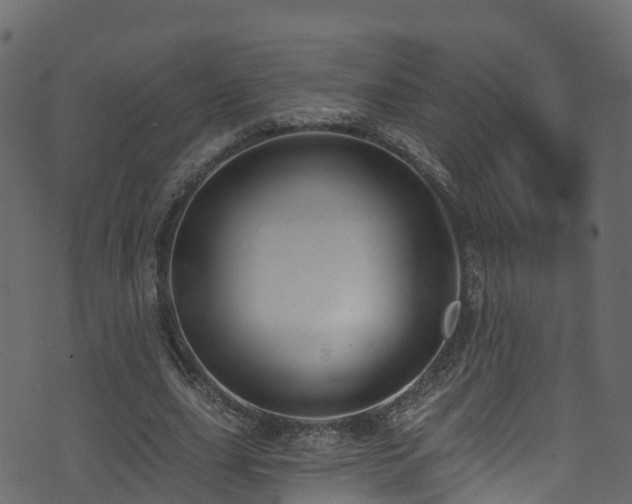 X0000074240631200608251139