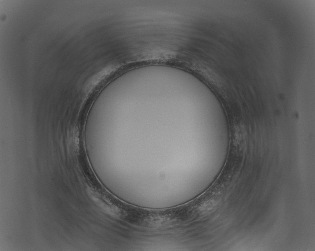 X0000074240632200608251139