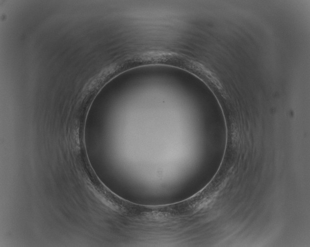 X0000074240633200608251139