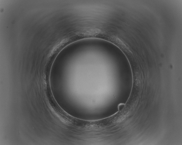 X0000074240634200608251139