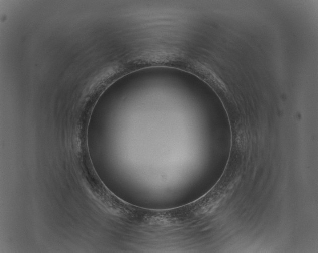 X0000074240635200608251139