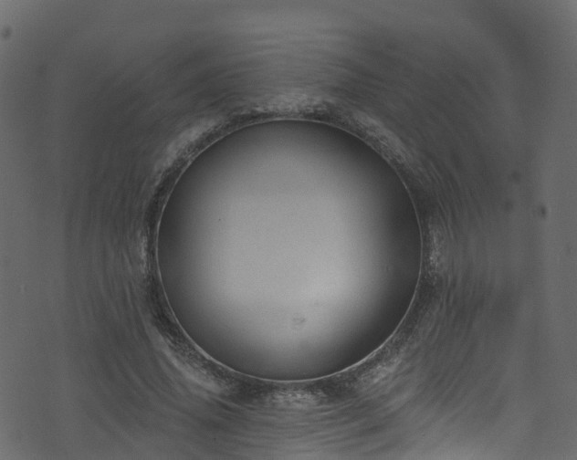 X0000074240636200608251139