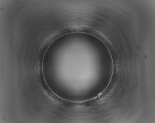 X0000074240637200608251139