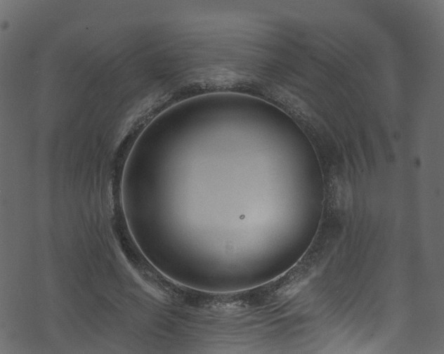 X0000074240638200608251139