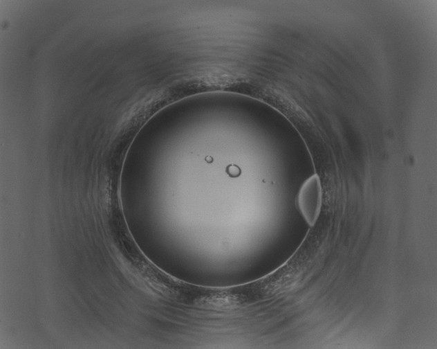 X0000074240639200608251139