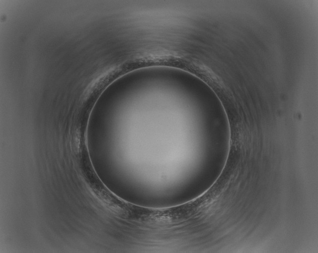 X0000074240640200608251139