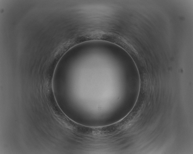 X0000074240641200608251139