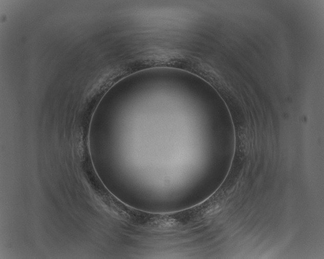 X0000074240642200608251139