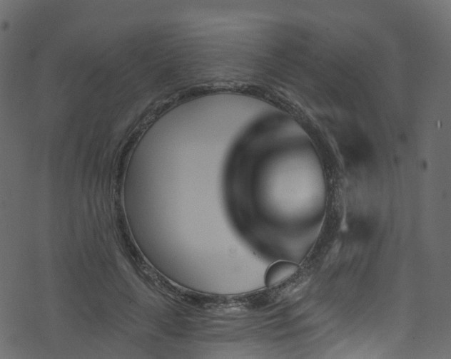 X0000074240643200608251139