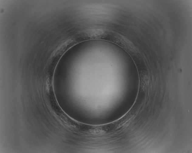 X0000074240644200608251139