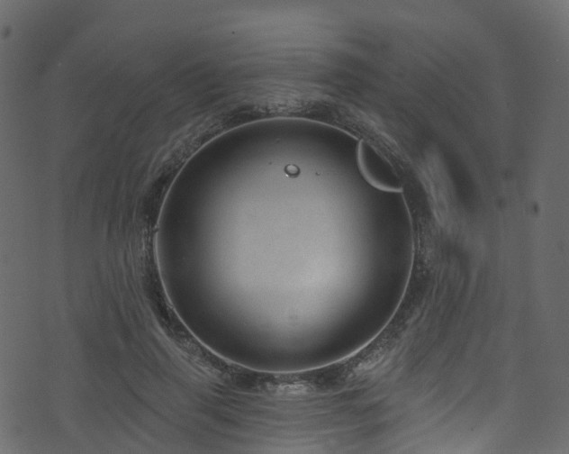 X0000074240645200608251139