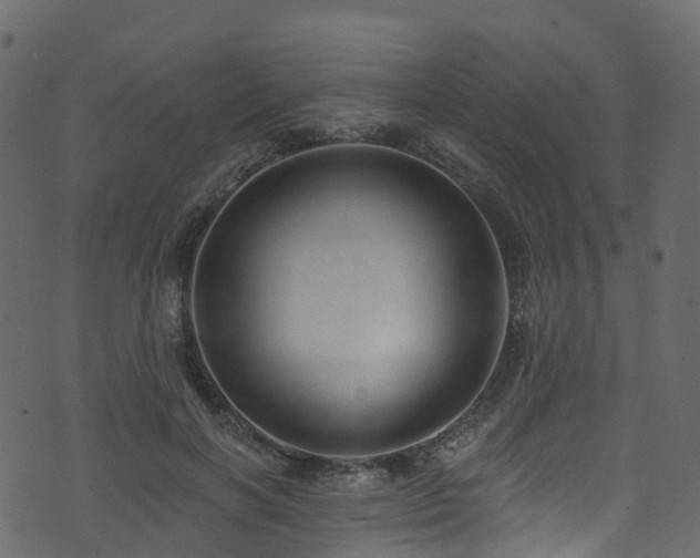 X0000074240646200608251139