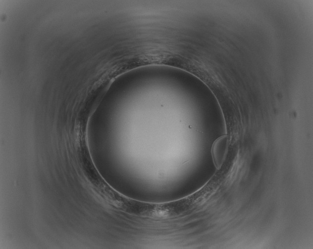 X0000074240647200608251140