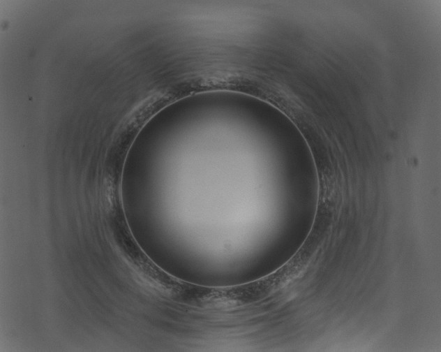 X0000074240648200608251140