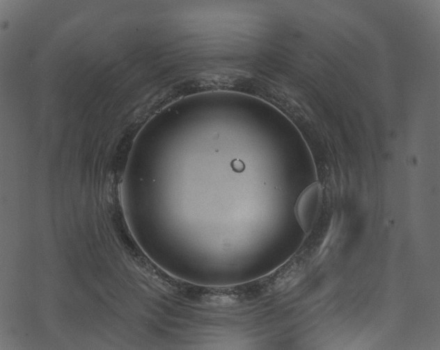 X0000074240649200608251140