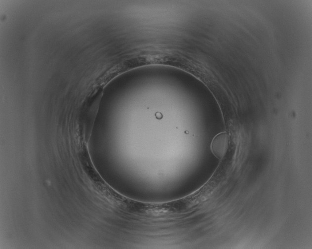 X0000074240650200608251140