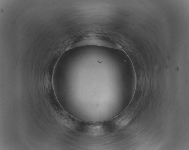 X0000074240651200608251140