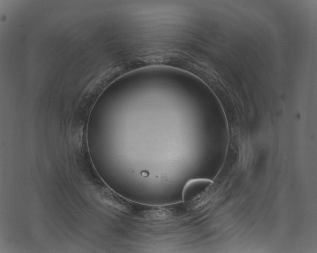 X0000074240652200608251140