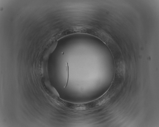 X0000074240653200608251140