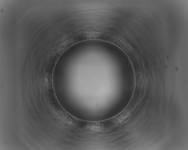 X0000074240655200608251140