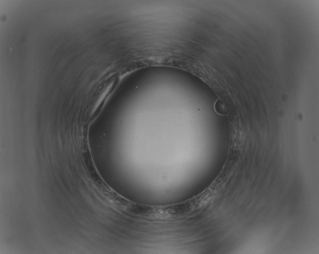 X0000074240656200608251140