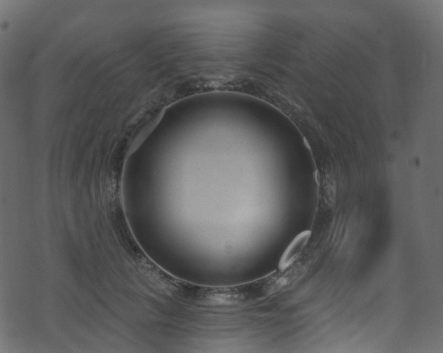 X0000074240657200608251140