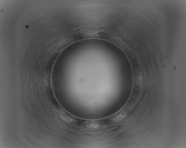 X0000074240658200608251140