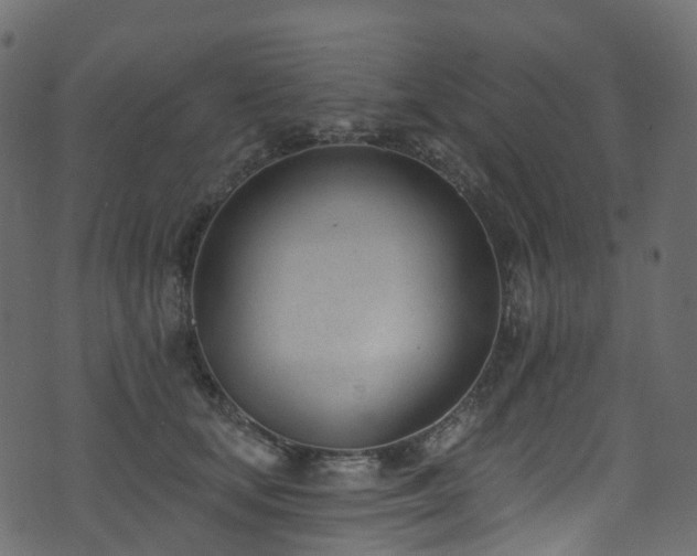 X0000074240659200608251140