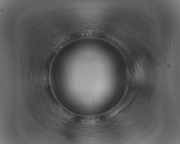 X0000074240661200608251140