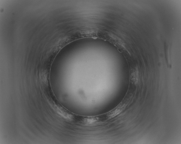 X0000074240662200608251140