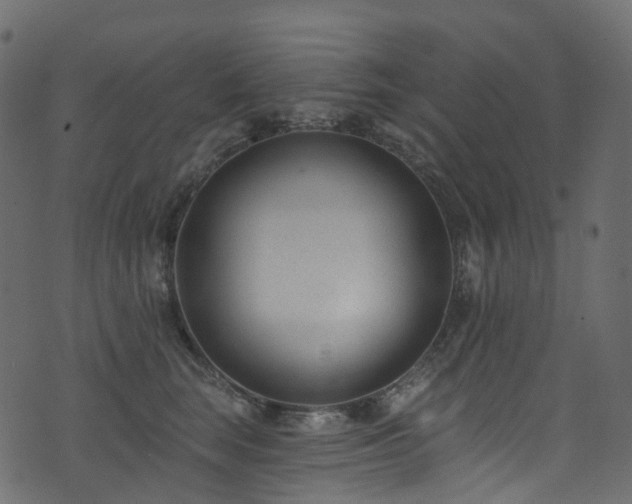 X0000074240663200608251140